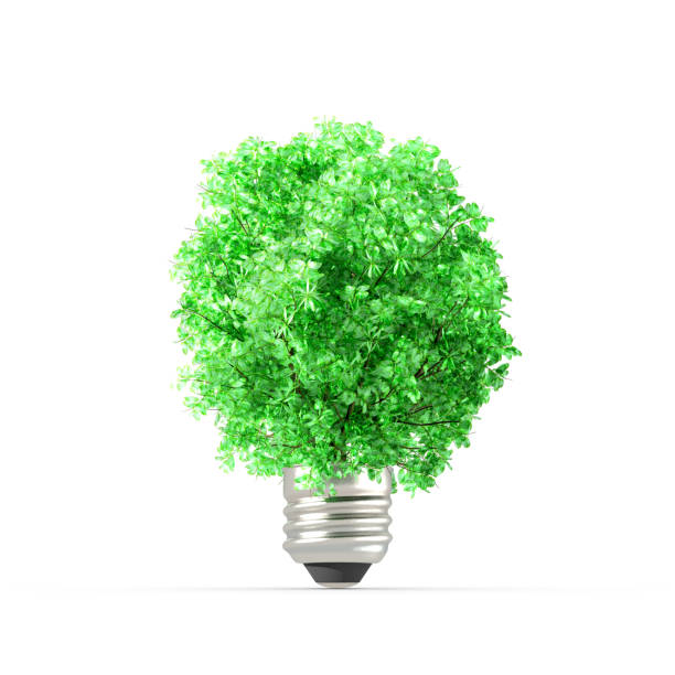 istock Concept of plant replacing the light bulb. 933855760