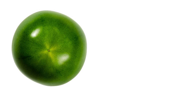 green tomatoes on isolated white background, raw. copy space, template.