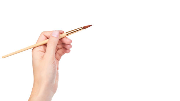 istock paint brush in hand isolated on white background. copy space, template 933856986