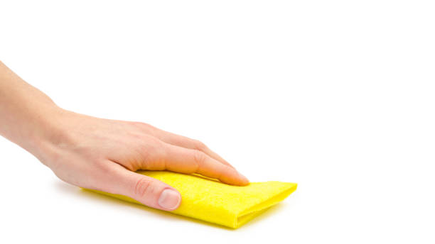 istock female hand takes or gives rag. Isolated on white background. copy space, template. 933857110