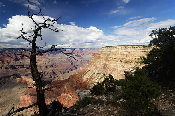 istock Grand Canyon National Park 93386364