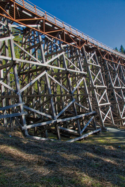 istock Kinsol Trestle Bridge, British Columbia 933865706
