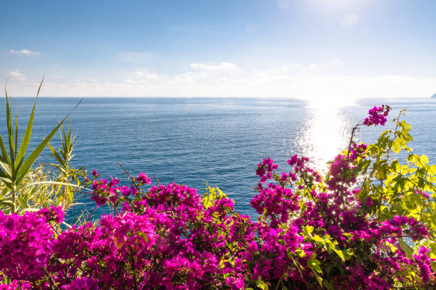 Cinque Terre is a National Park at the West Coast of Italy. There are three major Towns in this Park, Manarola, Rio Maggiore and Vernazza