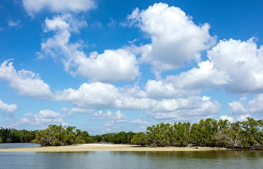 A view of Ten Thousand Islands area located in Everglades National Park, Florida. The islands are covered mostly by mangroves.
