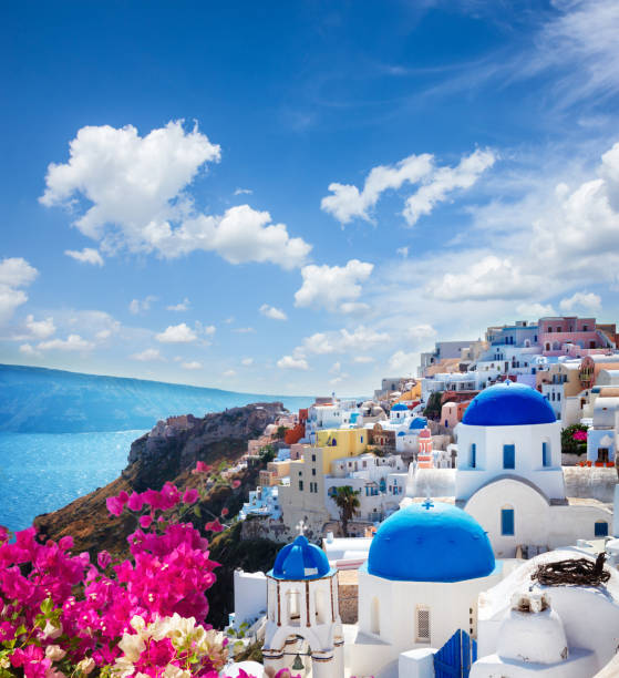 Beautiful sunset at Santorini island, Greece. Flowers on the terrace with sea view. Selective focus