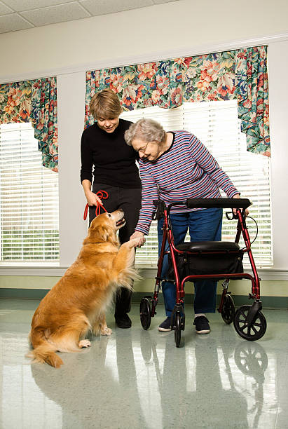 femme senior femme avec chien interactif. - senior adult dog nursing home pets photos et images de collection