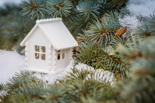 Toy white house is on the pine branch with snow stock photo