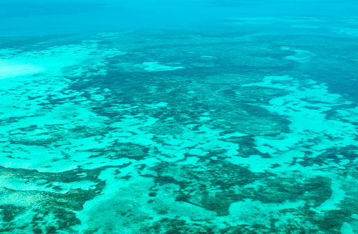 An aerial view of the coral reefs between Key West and Dry Tortugas in the Florida Straits
