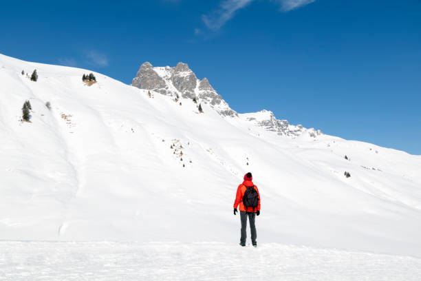 istock Woman with ski poles on snowy mountain 933877914