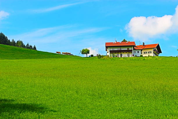 Idyllic countryside in Bavaria, Germany. Mountain pasture, house and cattle. Near Ainring, Berchtesgadener Land.