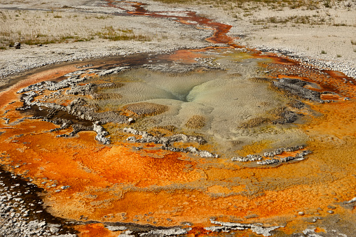 The beautiful Tardy Geyser in Yellowstone National Park, Wyoming