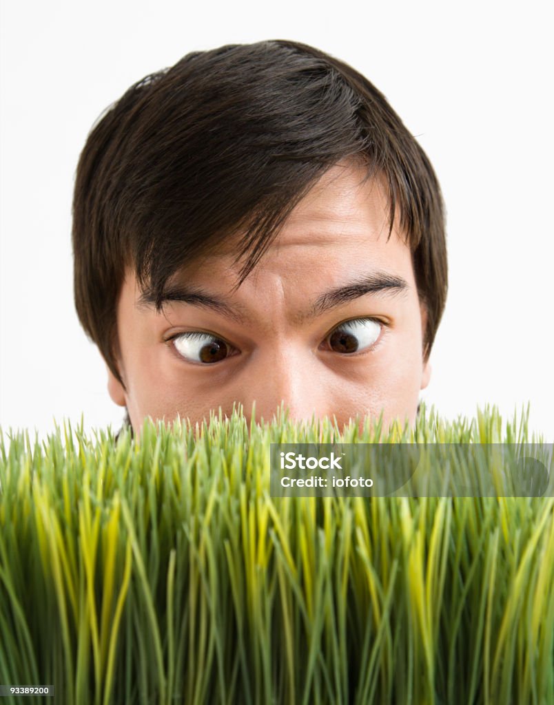 Schielen Mann hinter dem Rasen. - Lizenzfrei Allergie Stock-Foto