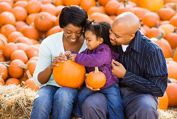 família em plantação de abóboras. - pumpkin patch imagens e fotografias de stock