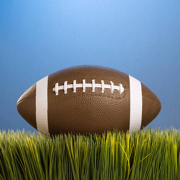 istock Football resting in grass. 93389440