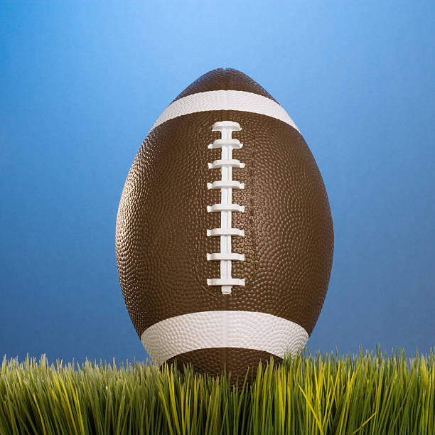 istock Football resting in grass. 93389444