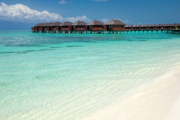 istock beach with water bungalows at Maldives 933904372