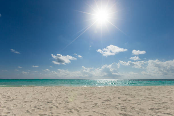 istock beach and tropical sea 933904404