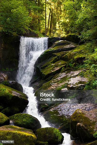滝の風景 - カラー画像のストックフォトや画像を多数ご用意 - カラー画像, コケ, ドイツ