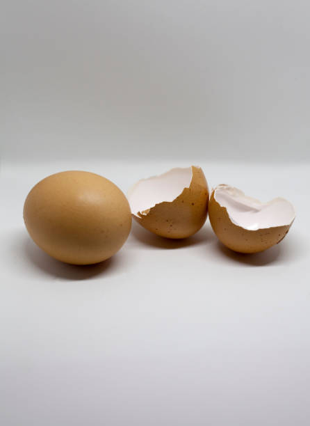 istock story written on the shells of eggs 933911996