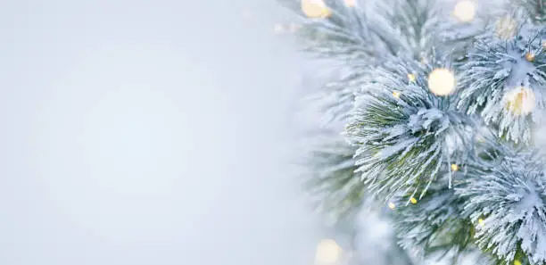 Christmas Tree, Christmas, Christmas Decoration, Ice, Christmas Ornament