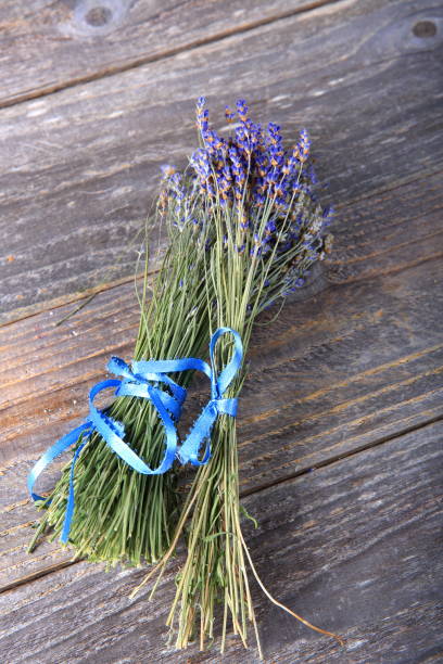 istock Bundles of dried lavender 933926972