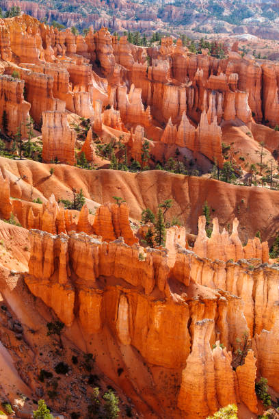 Bryce Canyon in Utah View of Bryce Canyon in summer, Utah, United States bryce canyon stock pictures, royalty-free photos & images
