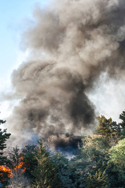 istock Smoke and Fire From Out of Control Wildfire 933942702