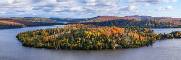 Panorama de cor de outono - foto de acervo