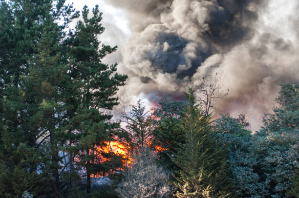 istock Smoke and Fire From Out of Control Wildfire 933942946