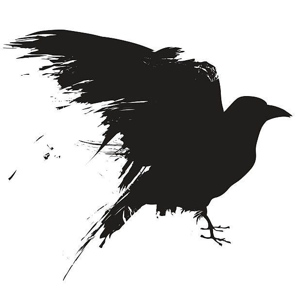 Grunge raven Vector illustration of the silhouette of a raven, crow, or blackbird in grunge style. raven bird stock illustrations