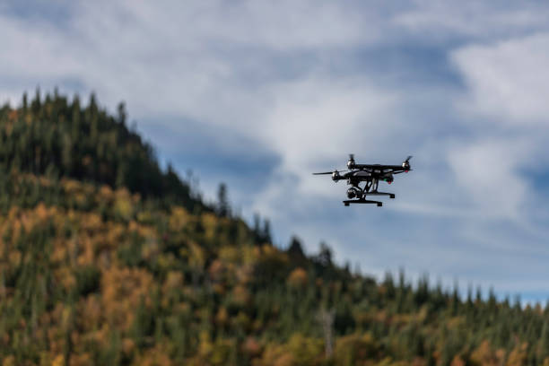 Drone Flying Over a Boreal Forest in Quebec in Autumn stock photo