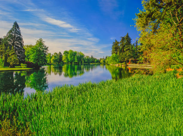 Pleasant getaway; springtime attraction; adventure outing; fantastic springtime blossoms; fresh start; new beginning