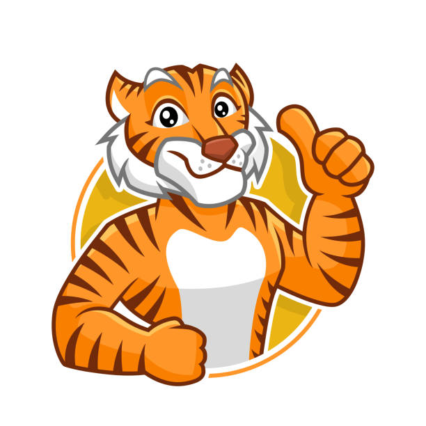 Tiger mascot character design Tiger mascot vector in isolated white background, tiger character design, cartoon style tiger mascot stock illustrations