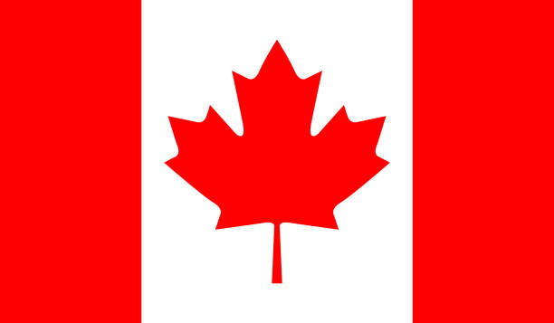 kanada flagge  - canadians stock-grafiken, -clipart, -cartoons und -symbole