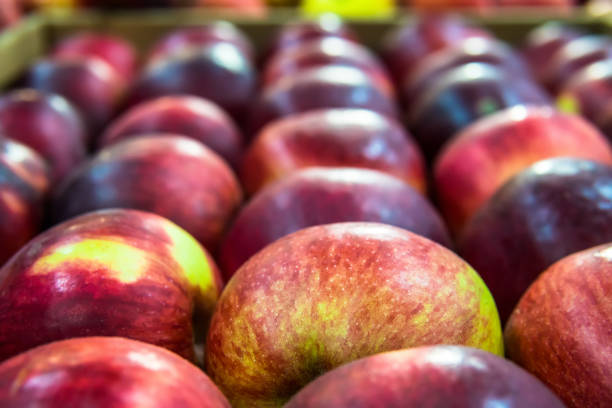 istock Green apple among a group of red apples. Vertical. Daylight. 934020242