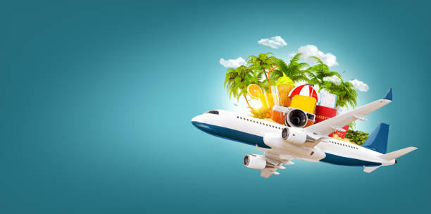 istock airplane and tropical palm on a paradise island 934027634
