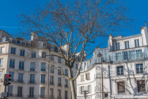 istock Paris, building in the center 934030270