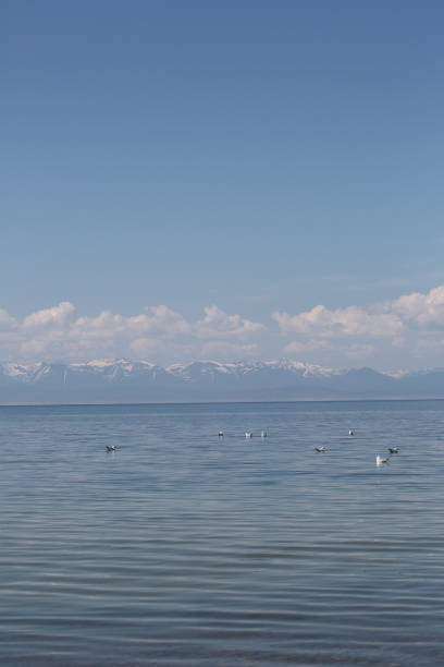 istock The great lake Baikal, Russia 934035468
