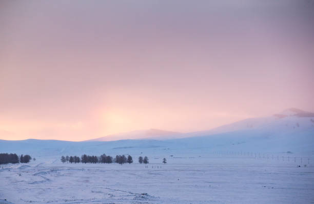 istock sunset in a snowy northern Mongolian landscape 934035864