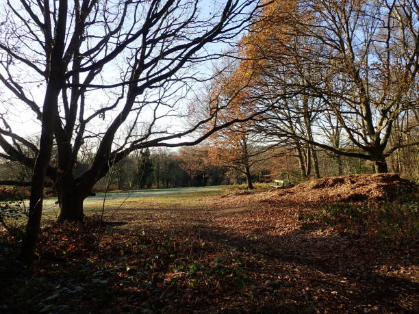 istock Autumn Scene Chorleywood Common 934053656