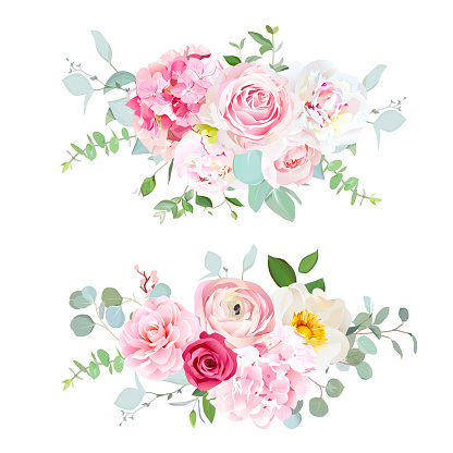 Pink hydrangea, red rose, white peony, camellia, ranunculus, eucalyptus and greenery vector design horizontal bouquets.Spring wedding flowers. Floral banner. All elements are isolated and editable