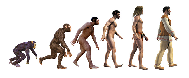 3d illustration, sequence that shows the progress of human evolution