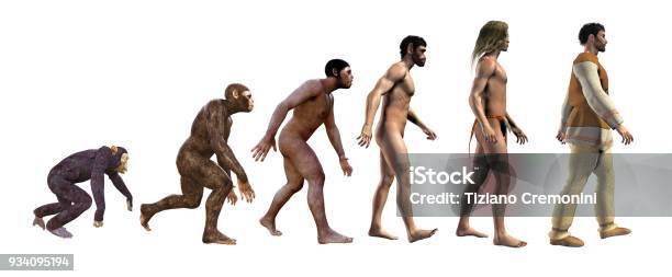 Human Evolution Stock Photo - Download Image Now - Evolution, Development, Progress