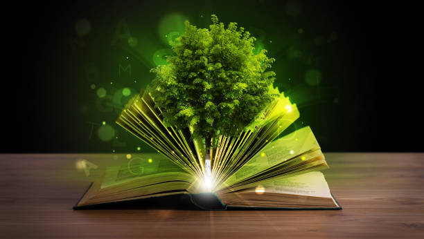 istock Open book with magical green tree and rays of light 934095560