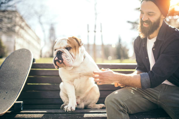 istock Man and dog in the park 934107958