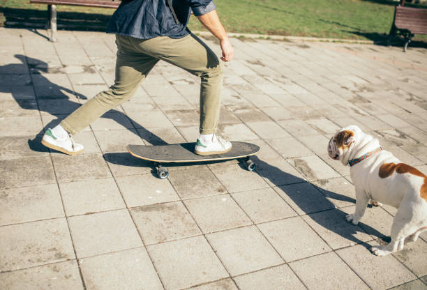 istock Man and dog in the park 934108314