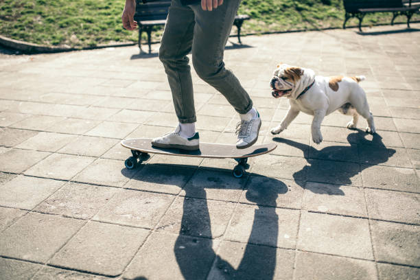 istock Man and dog in the park 934108432