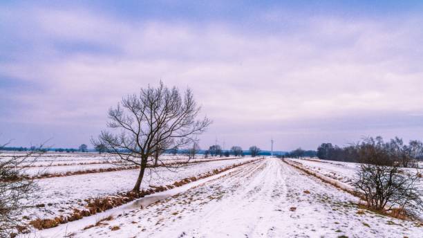 istock Winter in Altengamme 934111334