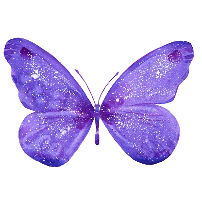 purple lovely butterfly, watercolor illustration  on white background