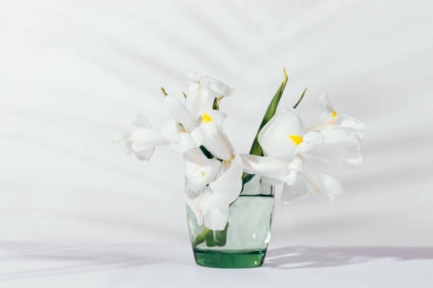 istock Transparent green vase with white flowers 934129376